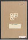 Diatomeae indet. Zeichnungen Sammlung Grunow Nr. 3806 (NHMW-BOT-W0371484)